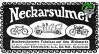 NSU 1910 192.jpg